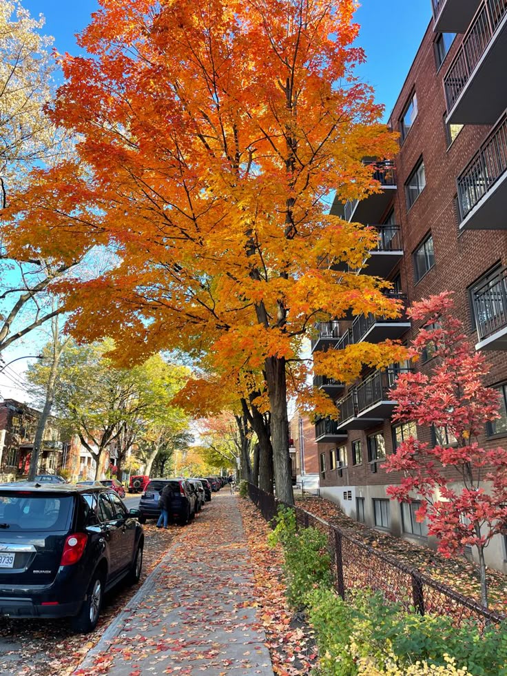 montreal